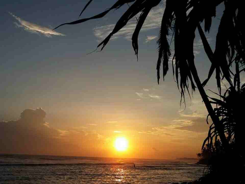 Snorkel Safari Adventures Come Snorkelling Sri Lanka Style Madiha