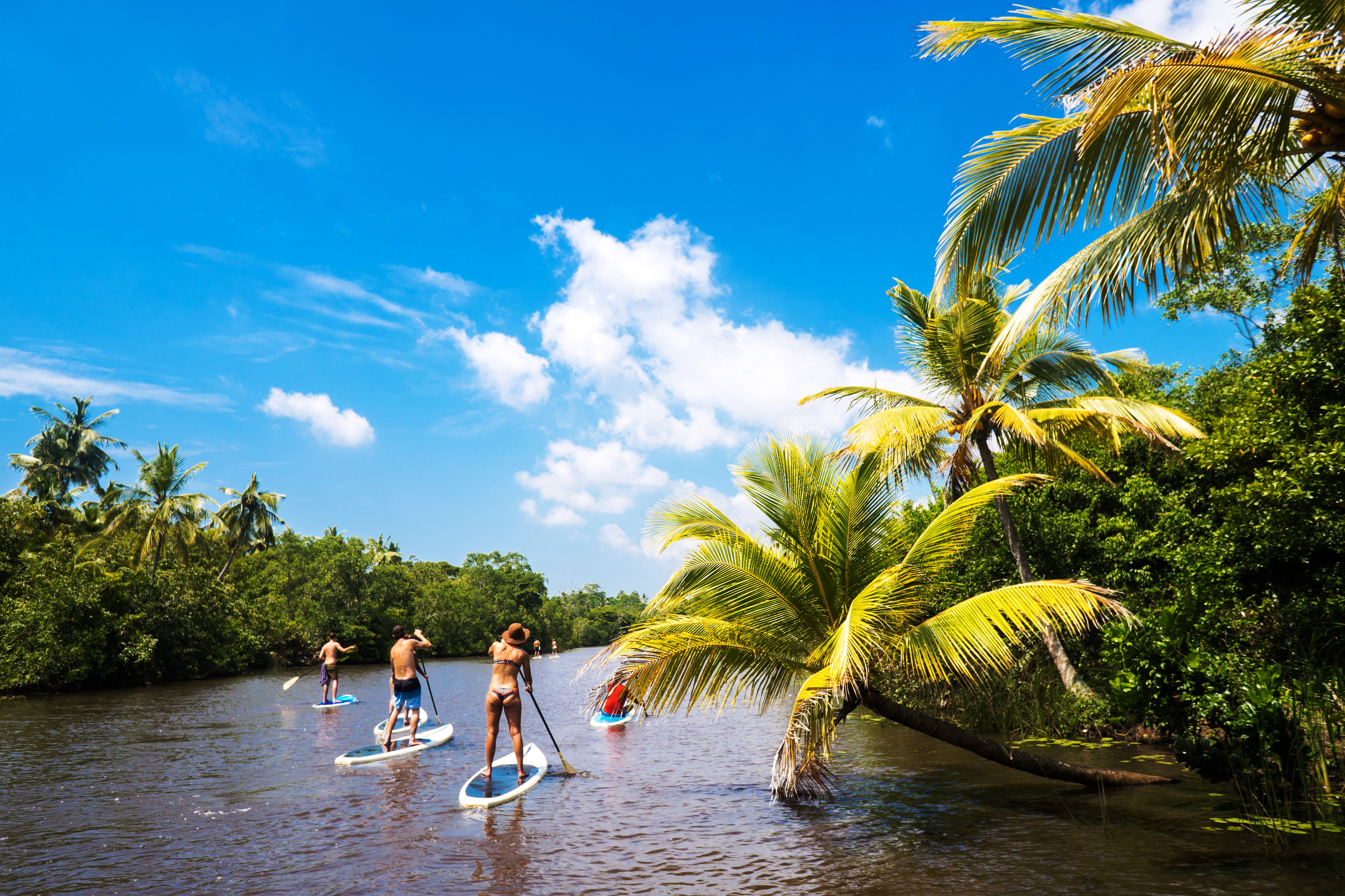 Stand Up Paddleboard "SUP"  Sri Lanka Jungle River Adventure